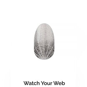 Color Street WATCH YOUR WEB Silver Black Glitter Gradient Halloween Nail Set